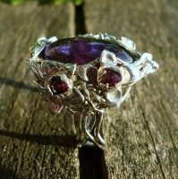 /album/fotogalerie1/a1012903-631583853588607-1573201494-n-jpg/