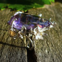 /album/fotogalerie1/a1601094-631583946921931-1968034677-n-jpg/