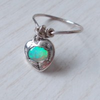 /album/fotogalerie1/dscn1860-jpg/